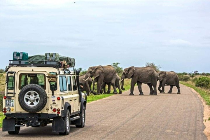 2-Day Budget Greater Kruger Camping Safari - Photo 1 of 9